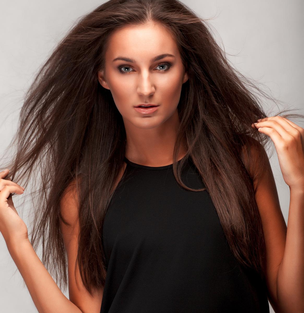 Model Image